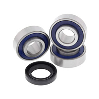 All Balls Racing ABR-25-1366 Front or Rear Wheel Bearing Kit for Big Twin 67-72