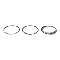 Cycle Pro CPL-28009C Piston Rings (Cast) +.020" for Shovelhead 78-84 80ci 1340cc