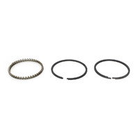 Keith Black Pistons KB-2M4985.005 Piston Rings for Keith Black Pistons w/Twin Cam Big Bore 88" to 95" w/3.880" Bore