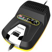 Oxford Oximiser 601 Battery Management System Charger