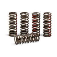 Pro Circuit Clutch Springs for Honda CRF450R 09-12