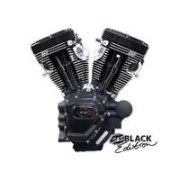 S&S Cycle SS310-0900 124ci Twin Cam Black Edition Engine for Dyna 06-17