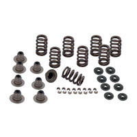 S&S Cycle SS900-0958 0.605" Valve Spring Kit for Milwaukee-Eight 17-Up