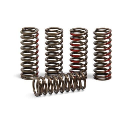 Pro Circuit Clutch Springs for Yamaha YZ250F 01-13