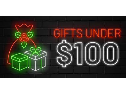 Top Gifts Under $100