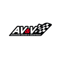 AV&V
