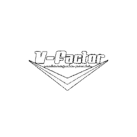 V-Factor